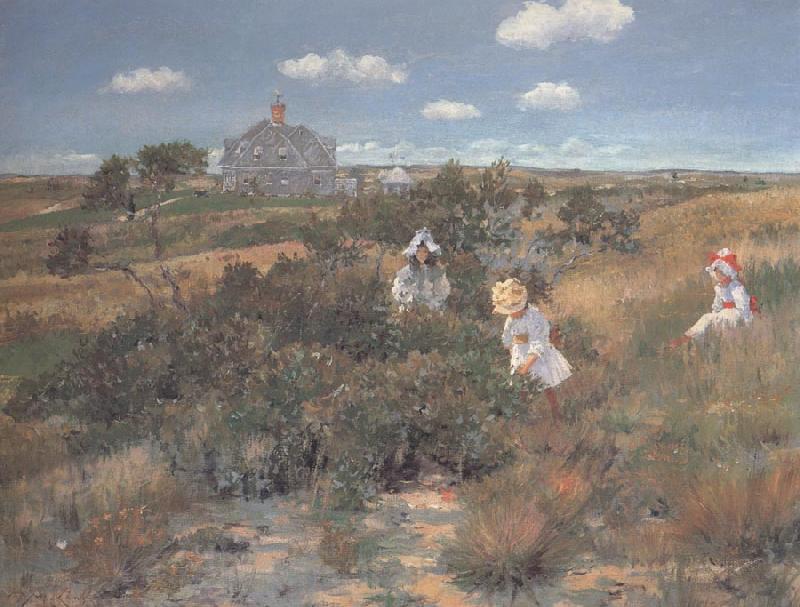 William Merrit Chase The Bayberry Bush Spain oil painting art